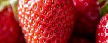 Erdbeeren - süsse Fülle und sommerliche Energie